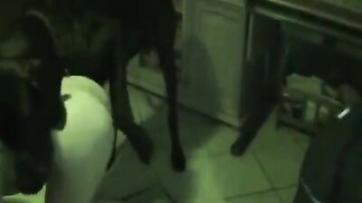 camila loves horse cocks