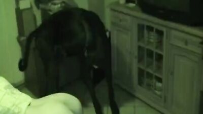 camila loves horse cocks