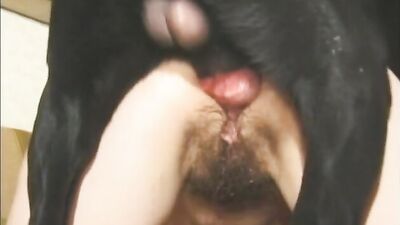 Ron Jeremy is back
