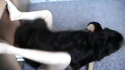 Dildoing and licked