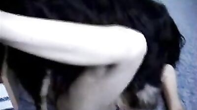 Dildoing and licked