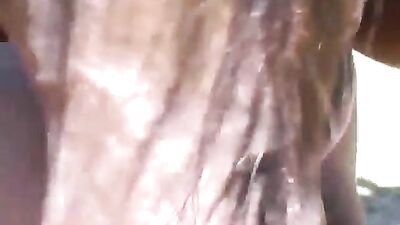 Black doggie fucks hot blonde Annalena