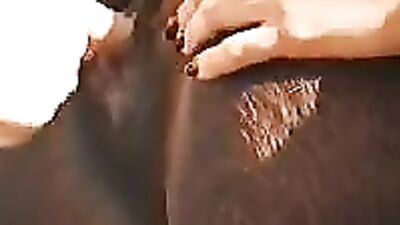 Swallowing the trunk