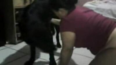 Dog licks girl
