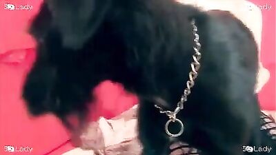sheep fuck a cunt