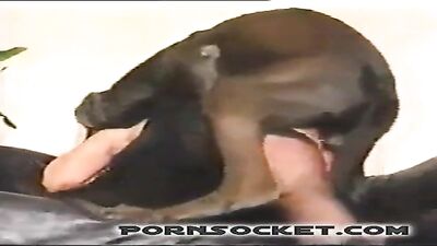 horse cum
