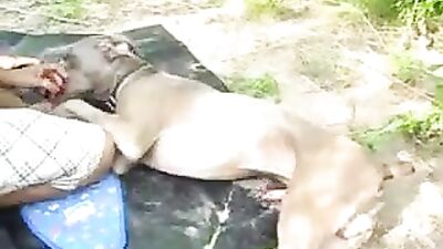 outdoor dogsex