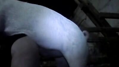 scat lesbian bathroom fun