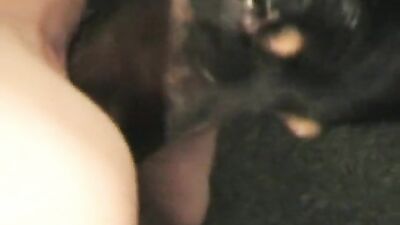 German woman fuck with pig