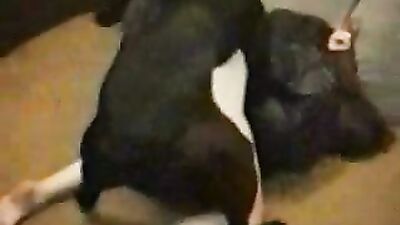 I wanna fuck me