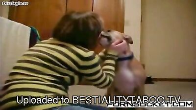 Dalmatian Licks Hot Girl Pussy On Webcam