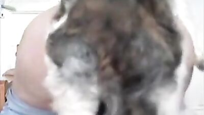 we love play with our dog