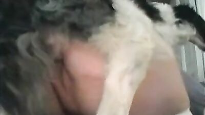 we love play with our dog