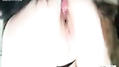 dogsex record