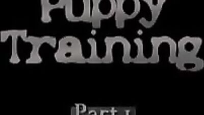 Pelicula