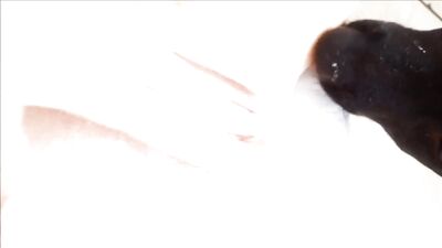 Blonde teeny Bilara and big dog Anal