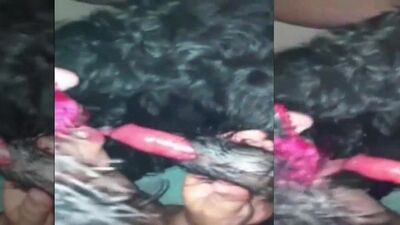 Vixen and Lise brunettes zoopornstars on black lingerie and doggie