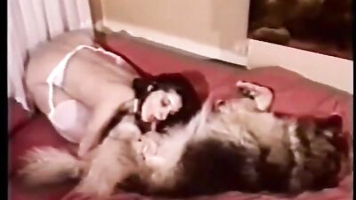 Dick in the Face