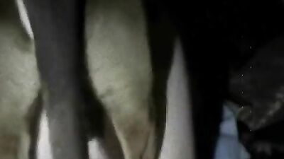 Dog cock fill mY BITCH ASS ass