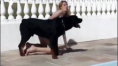 Misionero con el perro