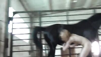 i tied my girlfrend and put my dog to lick her pussy
