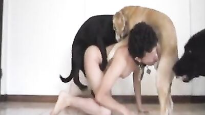 DOG HAVE HES WHORES