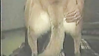 huge mastiff with skinny girl