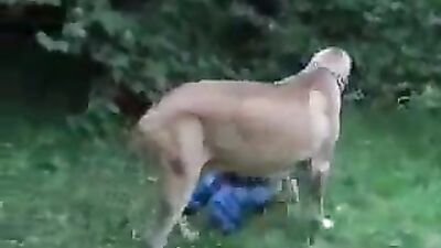threesome with a dog