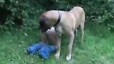threesome with a dog