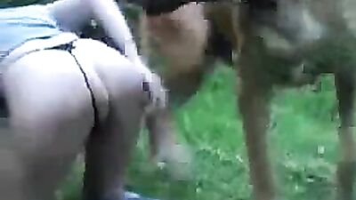 threesome with a dog