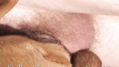 My wet penis.