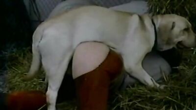 Sucking horsecock with masive cumshot on tits
