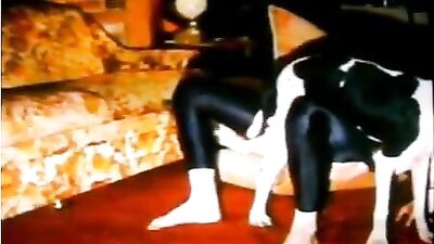 glamorous dogsex