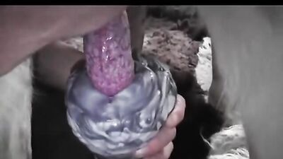 Ultimate Dog Blowjob Compilation