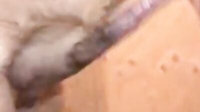 big dog dick in my ass