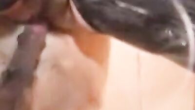 big dog dick in my ass