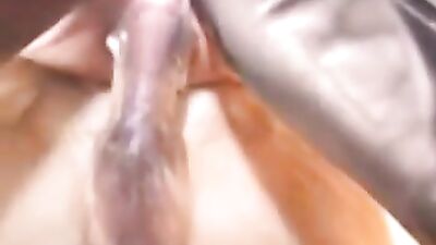 big dog dick in my ass