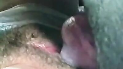 Dirty Fucking Animals
