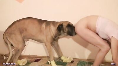 Doggie rides gay