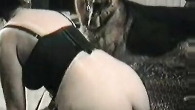 waiting for a cock