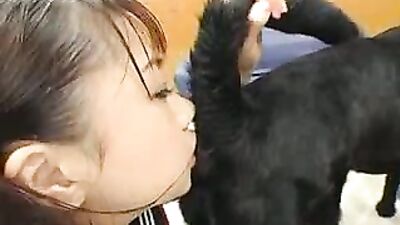 Mastiff licking his own balls