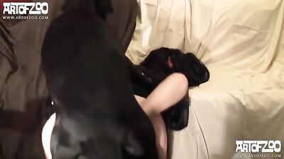 Zoophilic redhair and German Shepherd