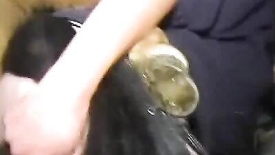 dog little cock