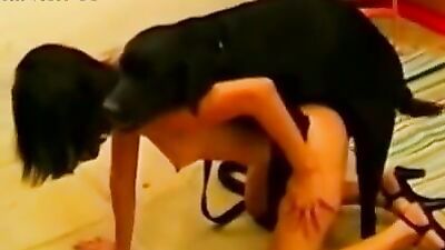 Vixen tricks brunette and dog