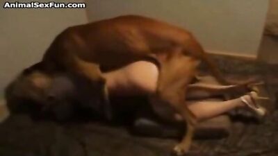 teen suck dog