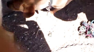 Wild dog rapes brunete on snow Henati 3D