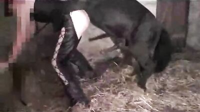 P3 You must see Anal Creampie Swallowing Compilation