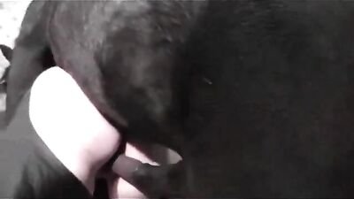 P3 You must see Anal Creampie Swallowing Compilation