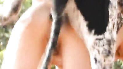 Sophie Brunette on pink lingerie and dog