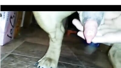 homemade couple dogsex